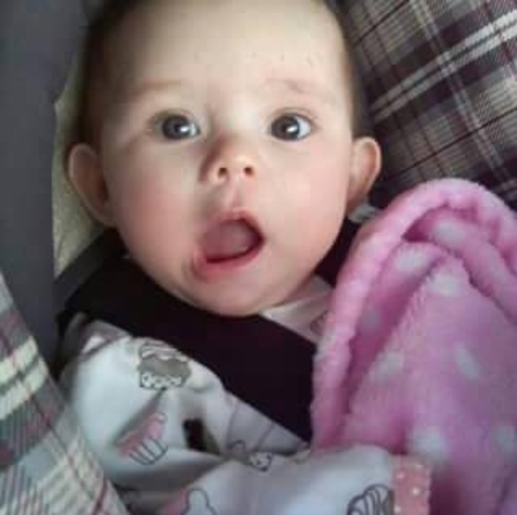 Meet your Posher, Rusty - Picture 1 of 1